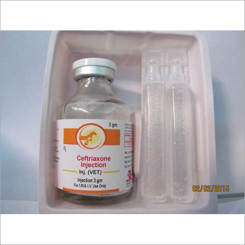 Veterinary Ceftriaxone Injection 3 gm